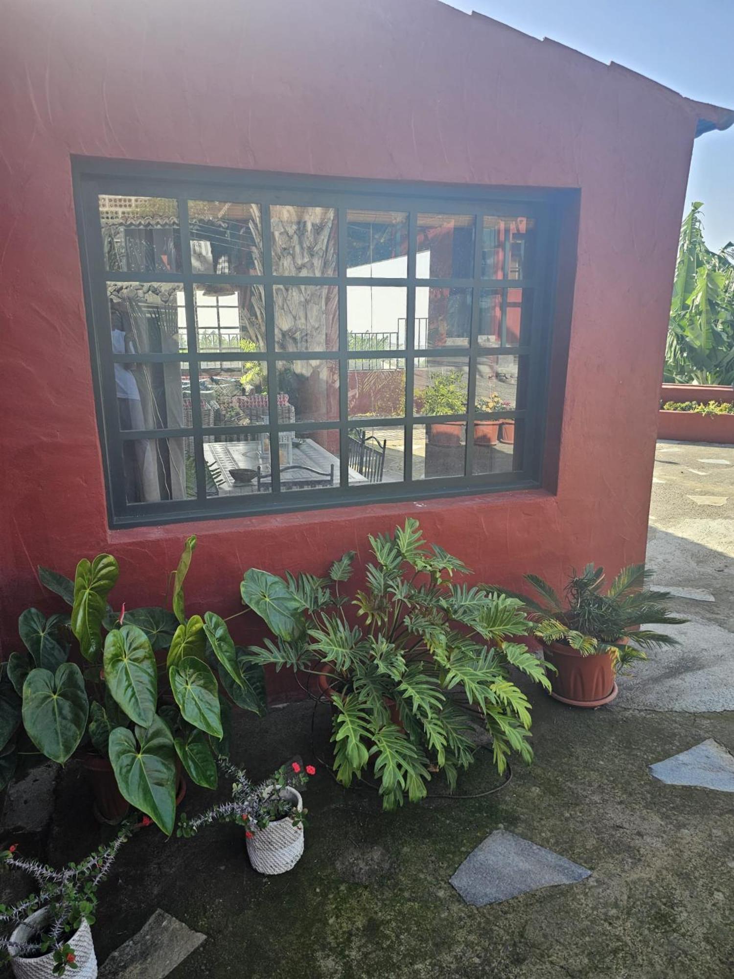Casa Rural El Pinito Con Piscina Privada El Paso Extérieur photo